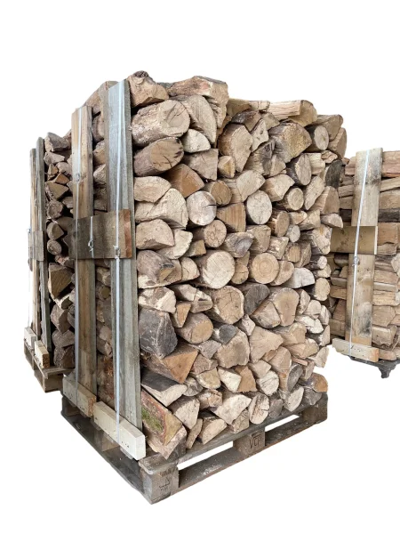 Brennholz - Stämme von 50 cm – 4 Rm